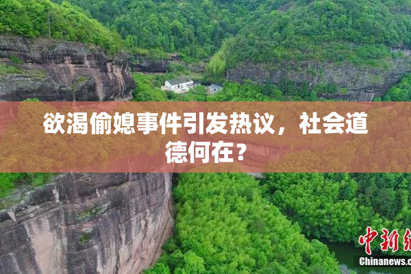 欲渴偷媳事件引发热议，社会道德何在？