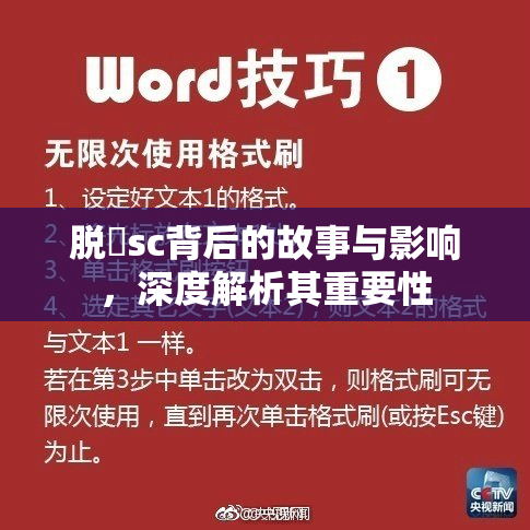脱糞sc背后的故事与影响，深度解析其重要性