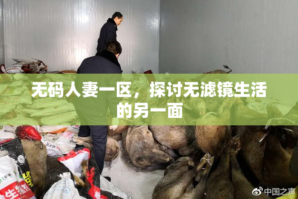 无码人妻一区，探讨无滤镜生活的另一面