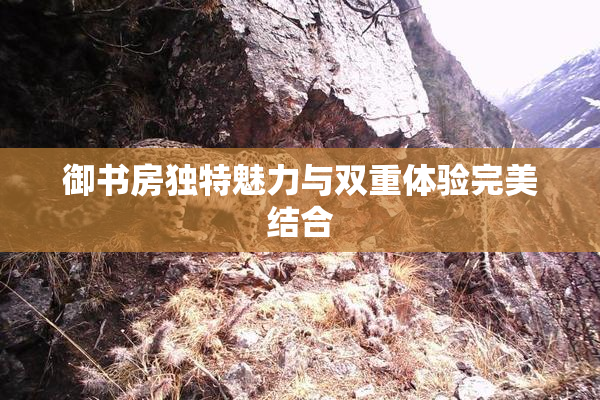 御书房独特魅力与双重体验完美结合