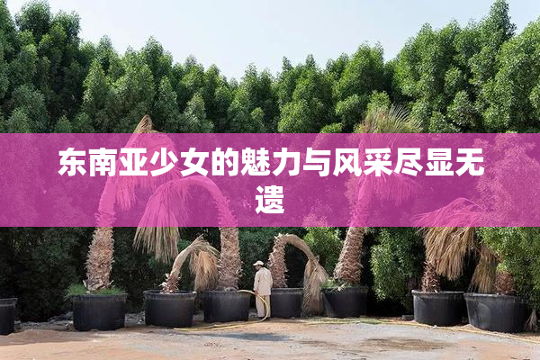 东南亚少女的魅力与风采尽显无遗