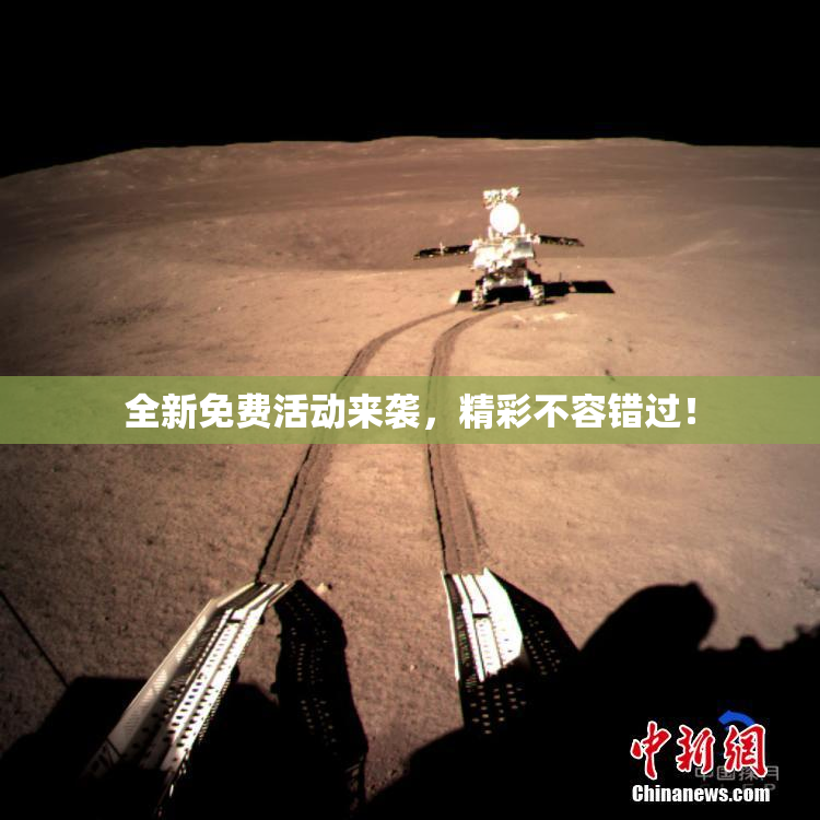 全新免费活动来袭，精彩不容错过！