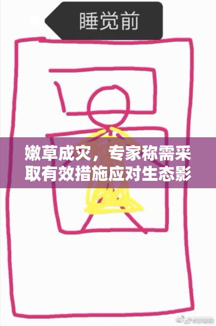 嫩草成灾，专家称需采取有效措施应对生态影响