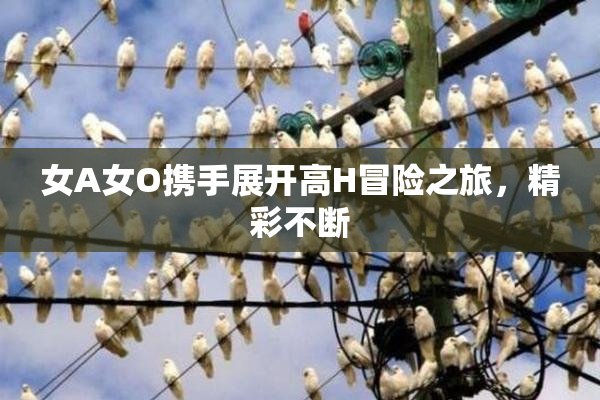 女A女O携手展开高H冒险之旅，精彩不断