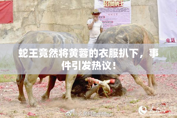 蛇王竟然将黄蓉的衣服扒下，事件引发热议！