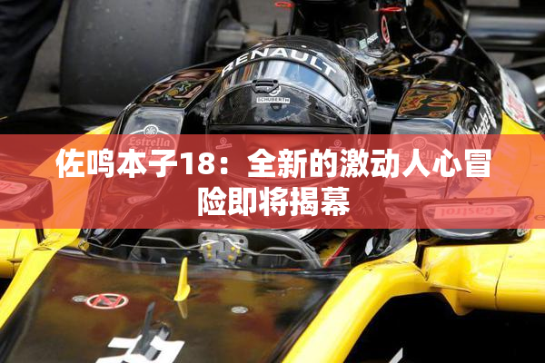 佐鸣本子18：全新的激动人心冒险即将揭幕