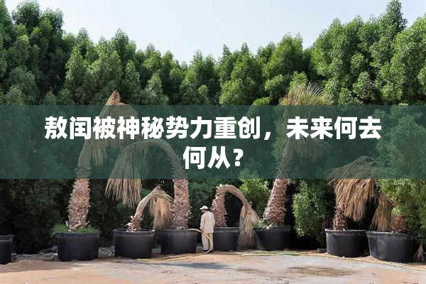 敖闰被神秘势力重创，未来何去何从？