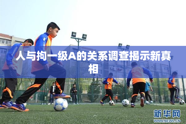 人与拘一级A的关系调查揭示新真相