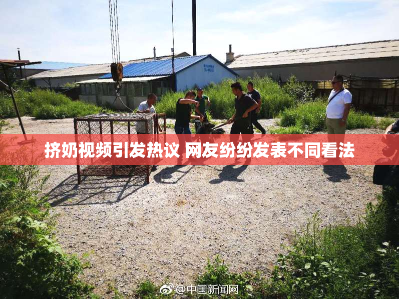 挤奶视频引发热议 网友纷纷发表不同看法