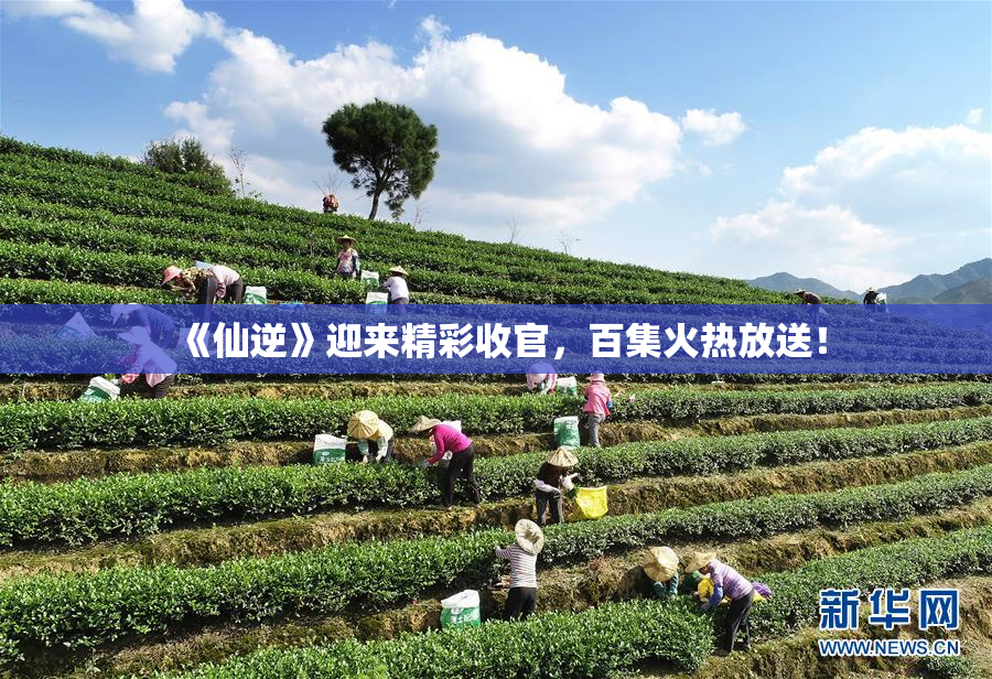 《仙逆》迎来精彩收官，百集火热放送！
