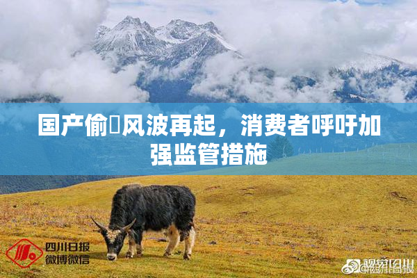 国产偷抇风波再起，消费者呼吁加强监管措施