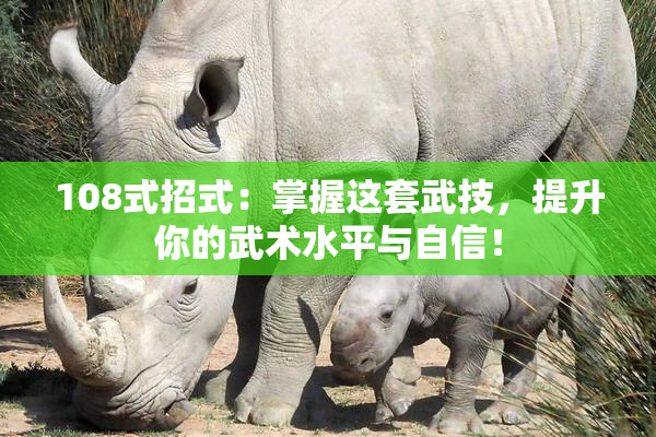 108式招式：掌握这套武技，提升你的武术水平与自信！
