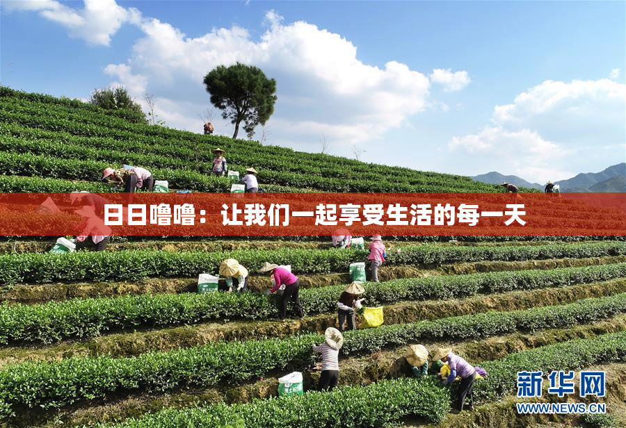 日日噜噜：让我们一起享受生活的每一天