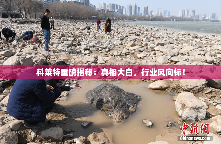 科莱特重磅揭秘：真相大白，行业风向标！