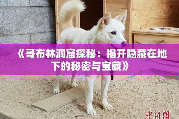 《哥布林洞窟探秘：揭开隐藏在地下的秘密与宝藏》