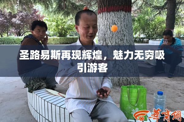 圣路易斯再现辉煌，魅力无穷吸引游客