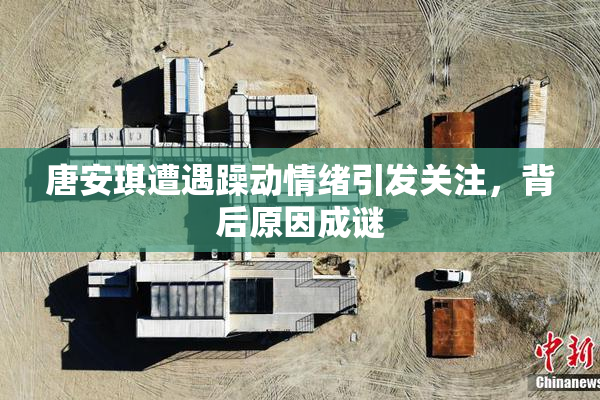 唐安琪遭遇躁动情绪引发关注，背后原因成谜