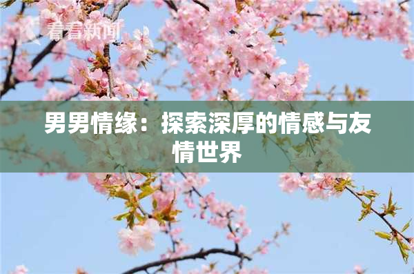 男男情缘：探索深厚的情感与友情世界