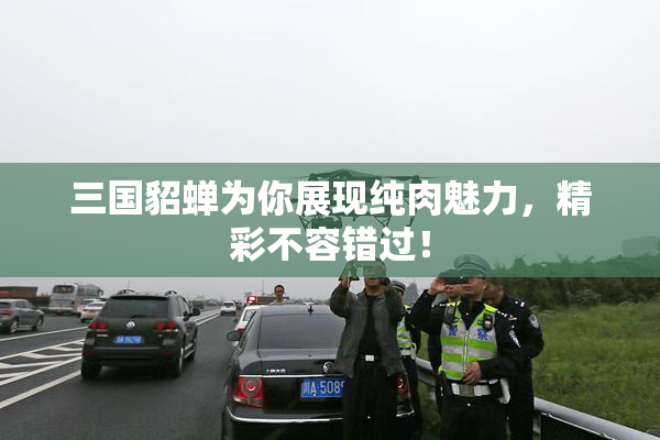 三国貂蝉为你展现纯肉魅力，精彩不容错过！