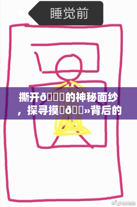 撕开👙的神秘面纱，探寻摸‌🐻背后的真相