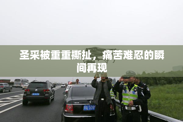 圣采被重重撕扯，痛苦难忍的瞬间再现