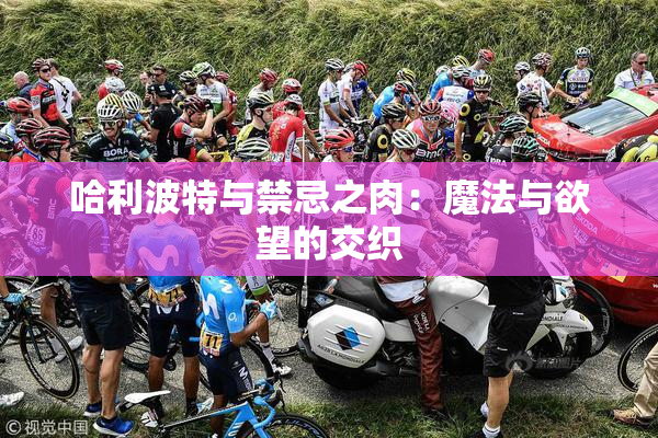 哈利波特与禁忌之肉：魔法与欲望的交织