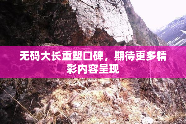 无码大长重塑口碑，期待更多精彩内容呈现