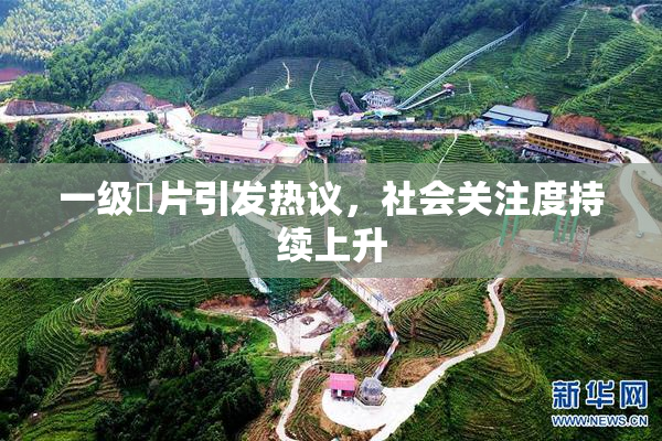 一级婬片引发热议，社会关注度持续上升