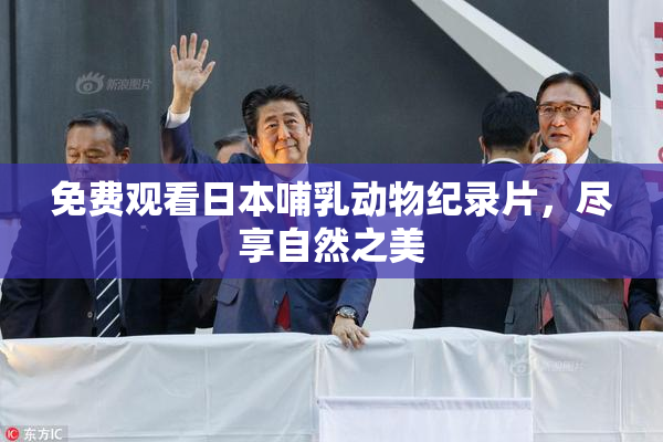 免费观看日本哺乳动物纪录片，尽享自然之美