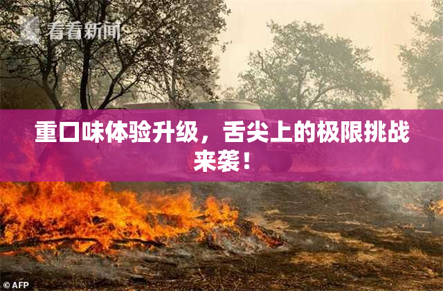 重口味体验升级，舌尖上的极限挑战来袭！