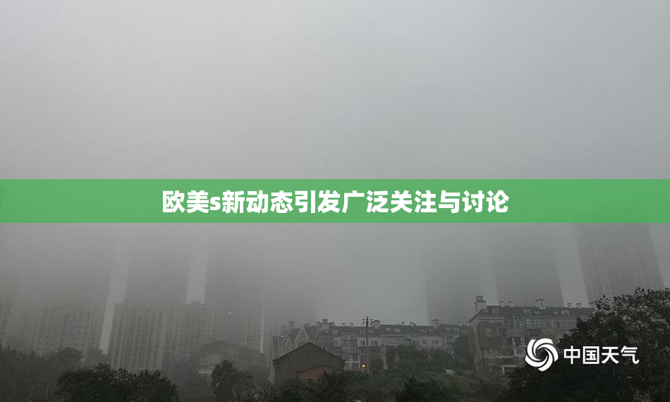 欧美s新动态引发广泛关注与讨论