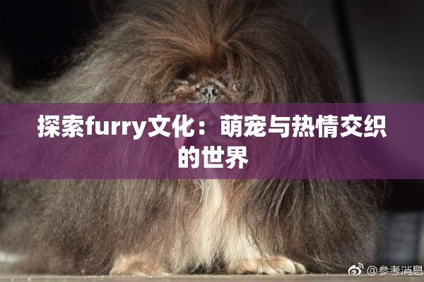 探索furry文化：萌宠与热情交织的世界