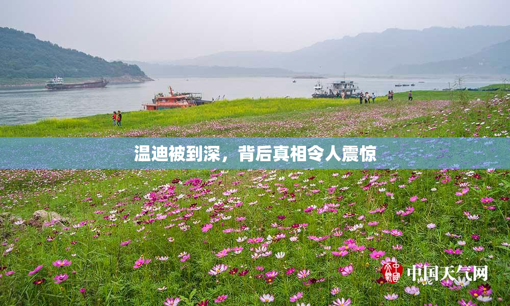 温迪被到深，背后真相令人震惊