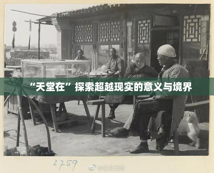 “天堂在”探索超越现实的意义与境界