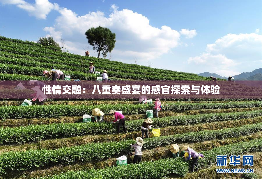 性情交融：八重奏盛宴的感官探索与体验