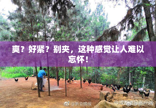 爽？好紧？别夹，这种感觉让人难以忘怀！