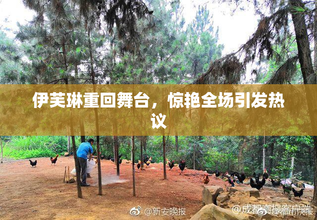 伊芙琳重回舞台，惊艳全场引发热议