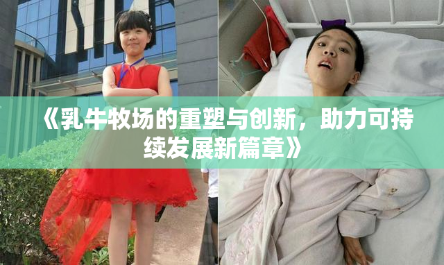 《乳牛牧场的重塑与创新，助力可持续发展新篇章》