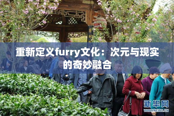 重新定义furry文化：次元与现实的奇妙融合