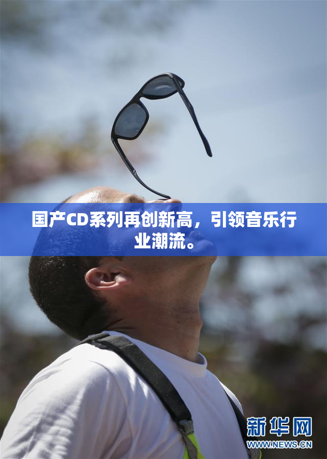 国产CD系列再创新高，引领音乐行业潮流。
