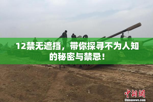 12禁无遮挡，带你探寻不为人知的秘密与禁忌！