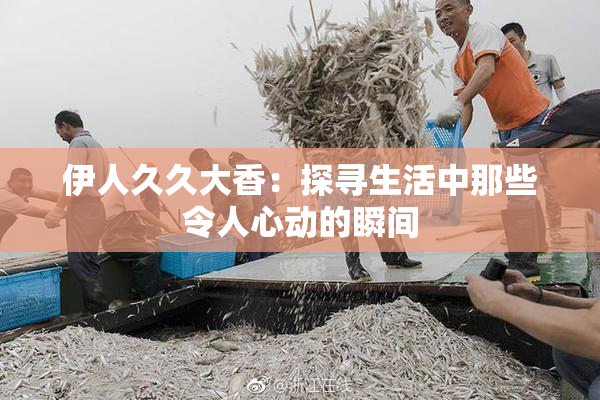 伊人久久大香：探寻生活中那些令人心动的瞬间