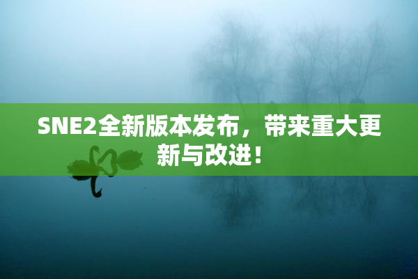 SNE2全新版本发布，带来重大更新与改进！