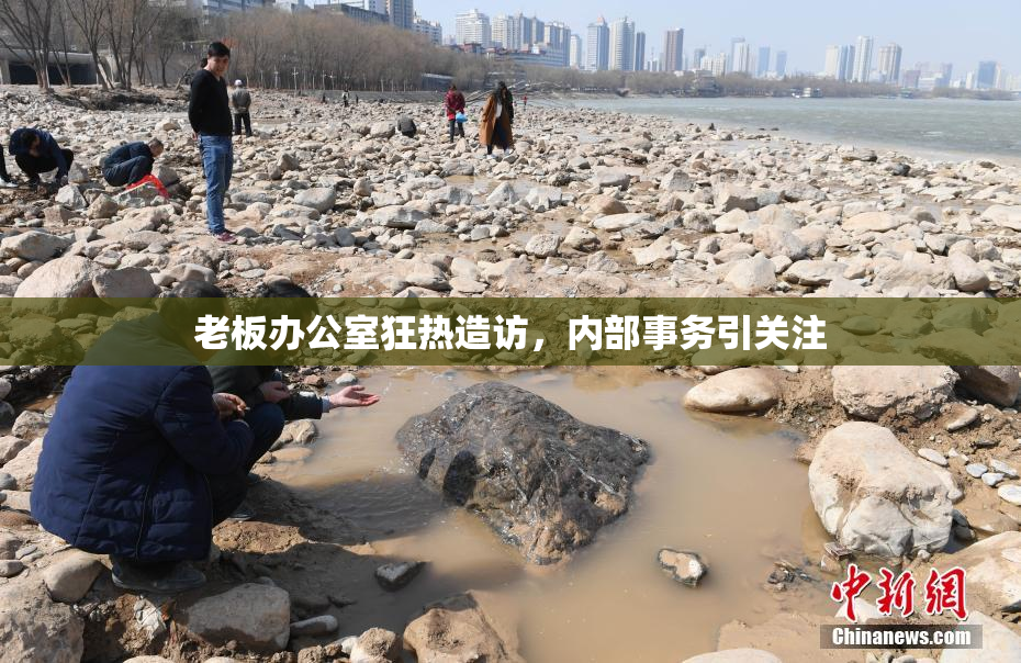老板办公室狂热造访，内部事务引关注