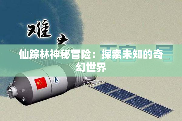 仙踪林神秘冒险：探索未知的奇幻世界