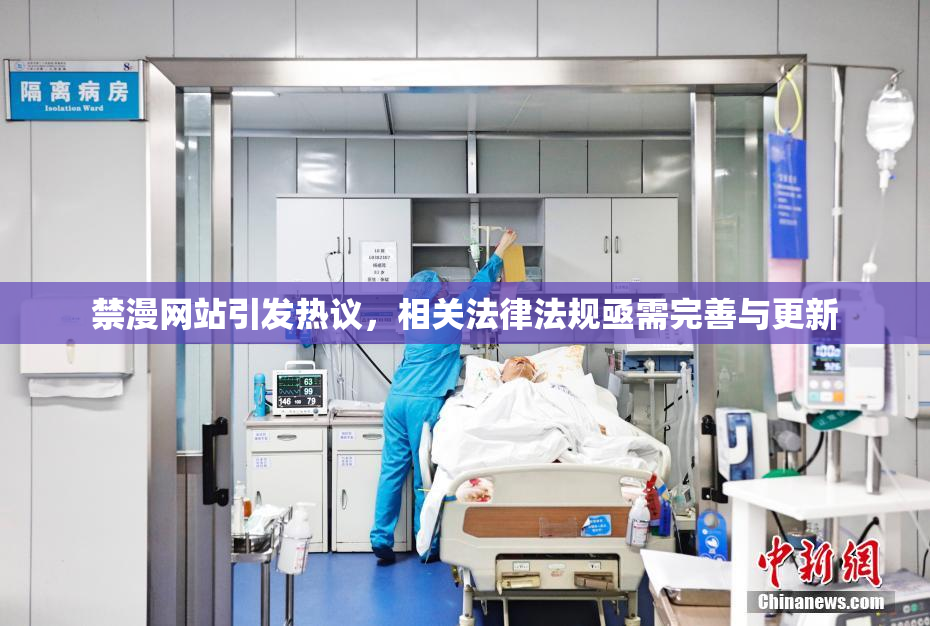 禁漫网站引发热议，相关法律法规亟需完善与更新