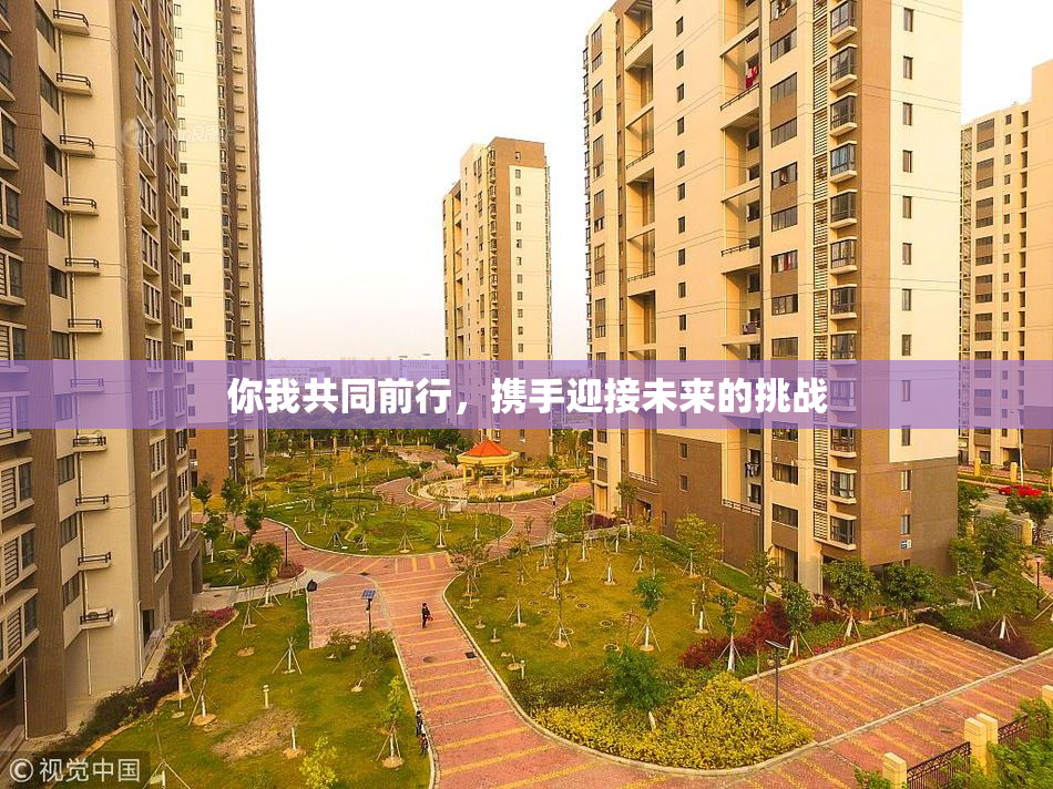 你我共同前行，携手迎接未来的挑战