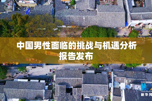中国男性面临的挑战与机遇分析报告发布