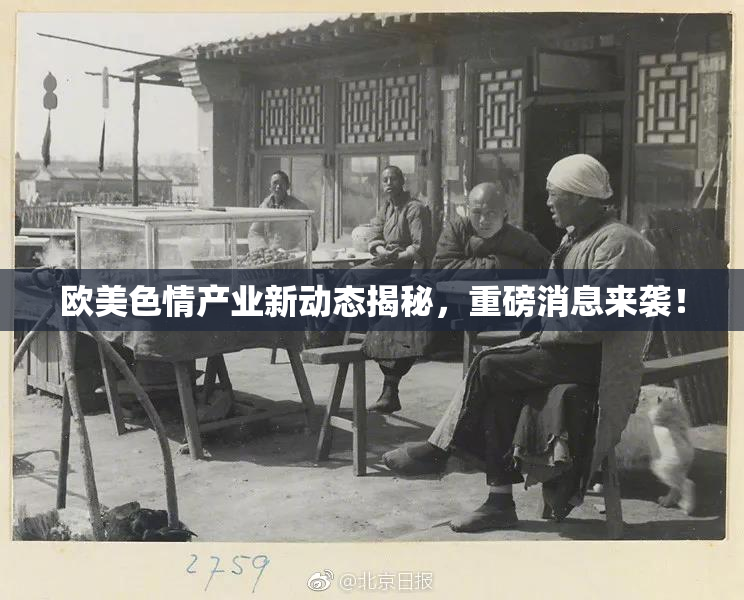 欧美色情产业新动态揭秘，重磅消息来袭！