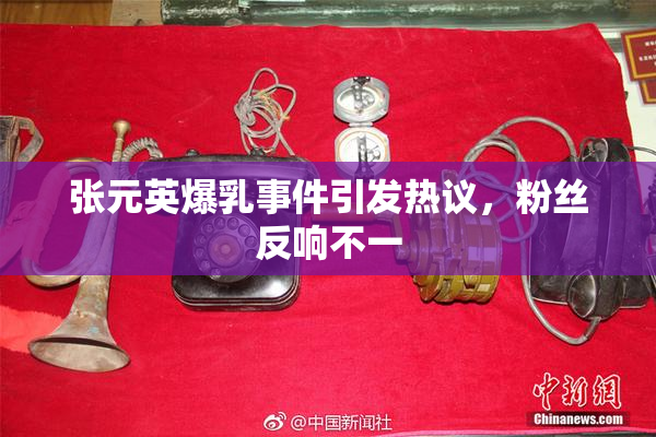 张元英爆乳事件引发热议，粉丝反响不一